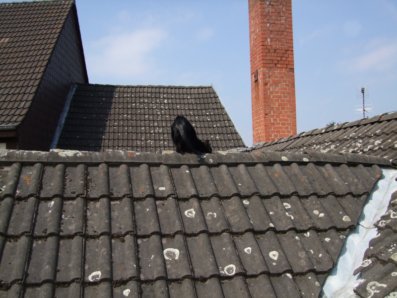 Ostern 2007 Orleshausen 132 